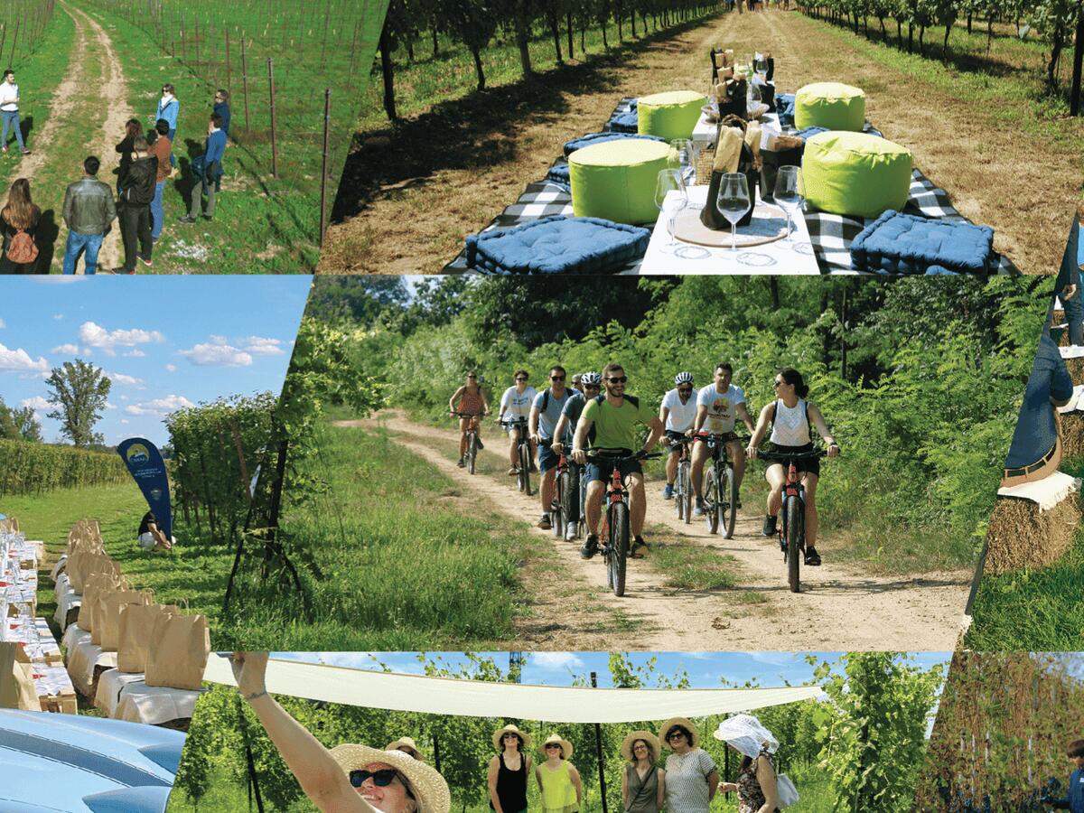 Attività all'aria aperta